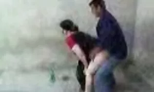 Uzbek madongo mag ng ...